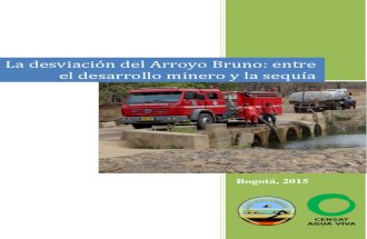 Informe Arroyo Bruno