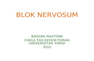 Blok Nervosum