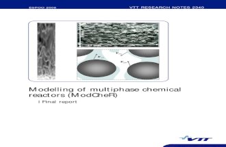 Modelling of multiphase chemical reactors