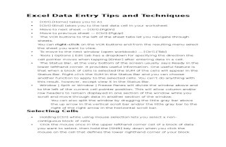 Excel Data Entry Tips and Techniques