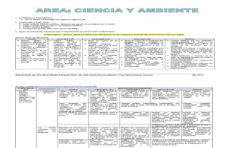Diseño-Curricular-de-Ciencia-y-Ambiente-para-primaria-1.pdf