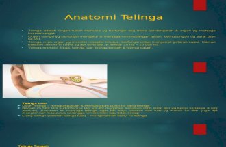 Anatomi Telinga (dr. adi)