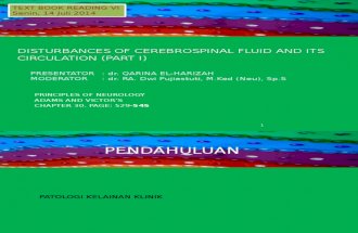 disturbances of Cerebrospinal Fluid and Its Circulation