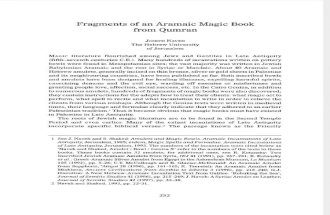 Joseph Naveh (1998). «Fragments of an Aramaic Magic Book From Qumran». IEJ 48, 252-261.