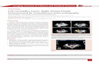 Left Circumflex Artery-Right Atrium Fistula Demonstrated By Transthoracic Echocardiography