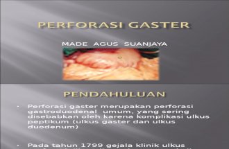97034125-43458756-Perforasi-Gaster