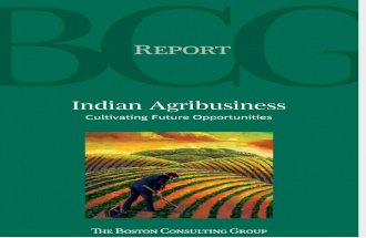 V.imp Indian Agribusiness