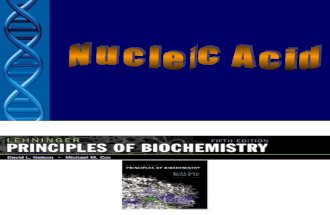 BS - Nucleic Acid