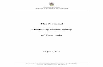 15 06 05 Ministerial Statement Electricity Policy