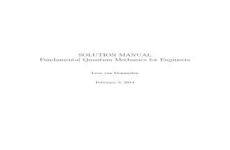 Dommelen Solution Manual