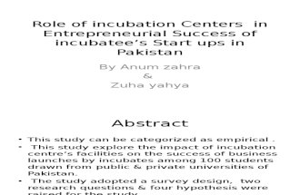 Evaluating the Role of Incubators in Entrepreneurial Business 2