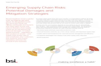 BSI - Emerging Supply Chain Risks (BSI)