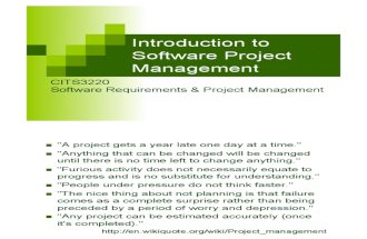 software project management into