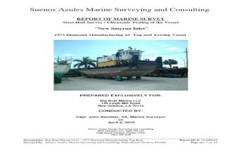 M/V New Smyrna Inlet (Sample Ultrasonic Hull Survey)