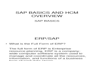 Sap Basics and Hcm Overview 1