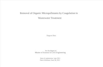 Msc Thesis about water
