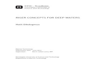 Thesis on Deepwater Risers