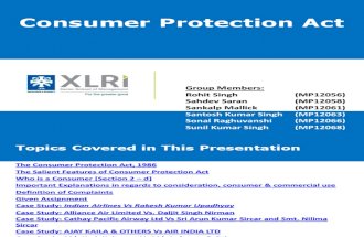 Airlines-Consumer Protection Project ( 06th Apr)