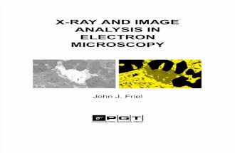 X Ray and image analysis in electron microscopy