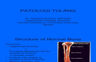 Pathologi tulang