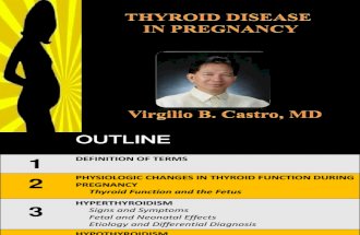 Thyroid Disorders in Pregnancy 2012
