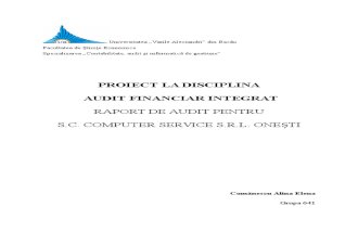 proiect audit.doc