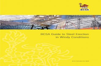 BCSA guide steel.pdf