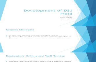 Development of DSJ Field