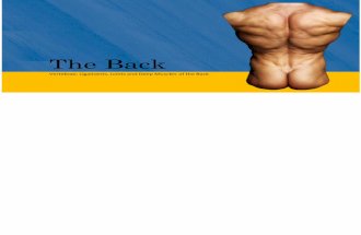 Back and Spine - Gross Anatomy