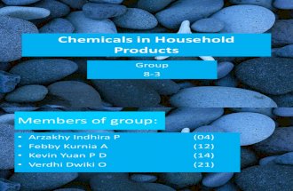Chemicals in Household Products