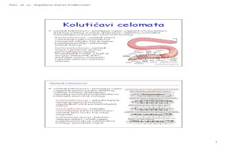 8-Kolutićavi Coelomata I.