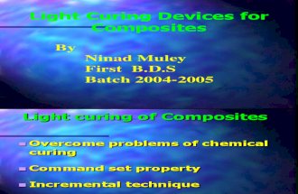 Light Curing Devices.3521