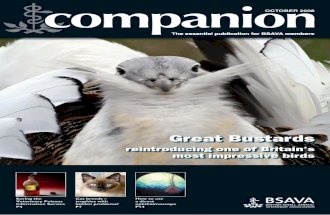 Companion October2008