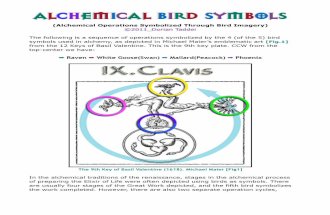Alchemical Operations Symbolized Through Bird Imagery