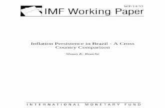 Inflation Persistence in Brazil - A Cross Country Comparison