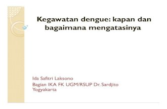 Mengenali Kegawatan Dengue 2013