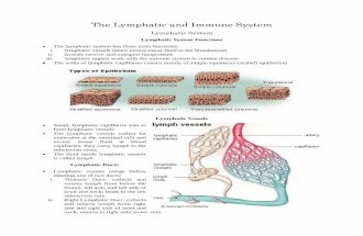 The Lymphatic and Immune System