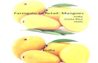 Mango Brand