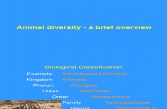 L15 Animal Diversity1