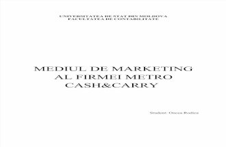 Mediul de Marketing Al Firmei Metro Cash Carry (1)
