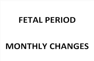10 Fetal Development Monthly