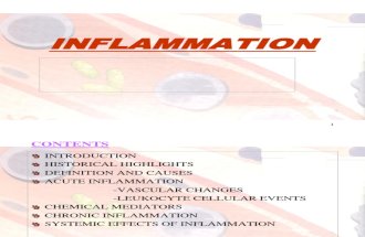 Inflamamtion - Final New