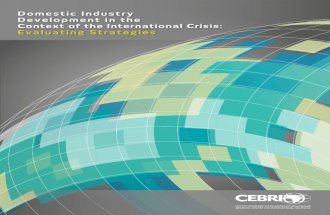 Domestic Industry Development in the Context of the International Crisis: Evaluating Strategies