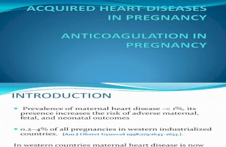 Heart Diseases in Pregnancy