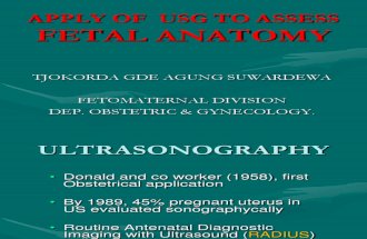 Lecture 3 Apply of USG to Assess Fetal Anatomy