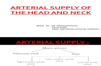 Arterial Suppply of Head&Neck