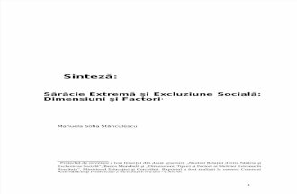 Manuela Stanculescu Despre Excluziune Sociala