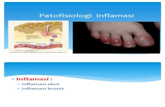 Patofisiologi  inflamasi