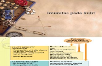 Imunitas kulit