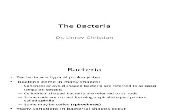 Lecture 3 - Bacteria